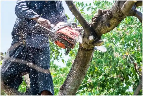 tree services McAlester